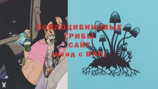 spice Няндома