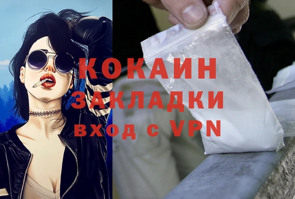 spice Няндома