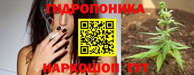 сатива Балахна