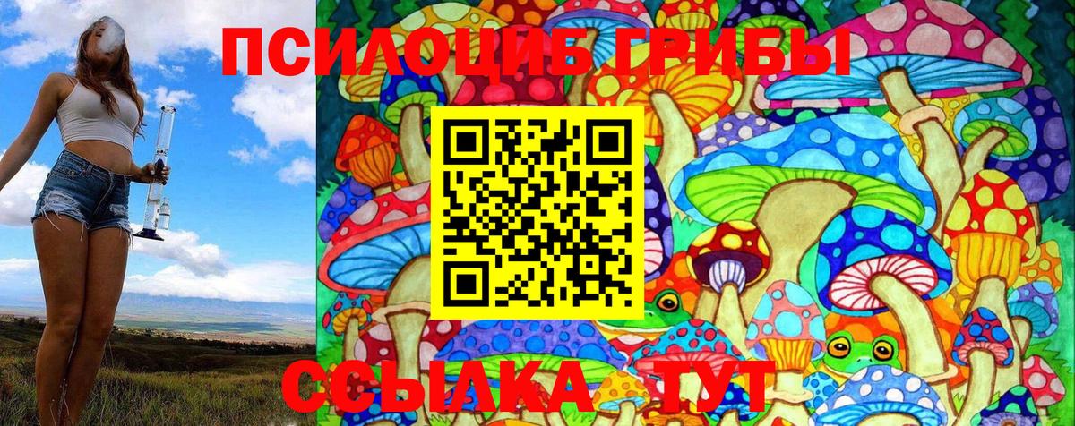 Псилоцибиновые грибы Psilocybine cubensis  Котельники  дарнет шоп  Галлюциногенные грибы MAGIC MUSHROOMS 