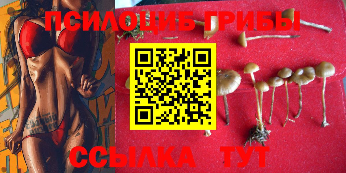 Галлюциногенные грибы GOLDEN TEACHER Котельники