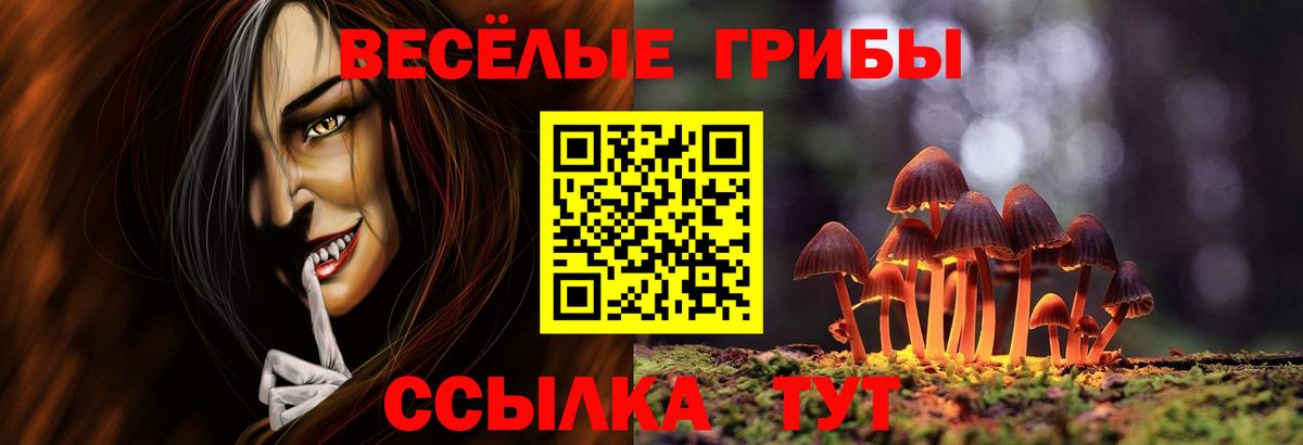 Псилоцибиновые грибы MAGIC MUSHROOMS Котельники