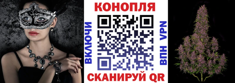 Бошки марихуана ГИДРОПОН  сколько стоит  Котельники 